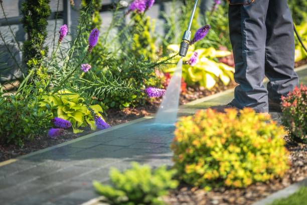Reliable Shady Shores, TX Pressure Washing Services Solutions